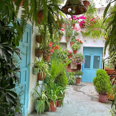 Apartamento La Muralla Vejer de la Frontera Exteriör bild