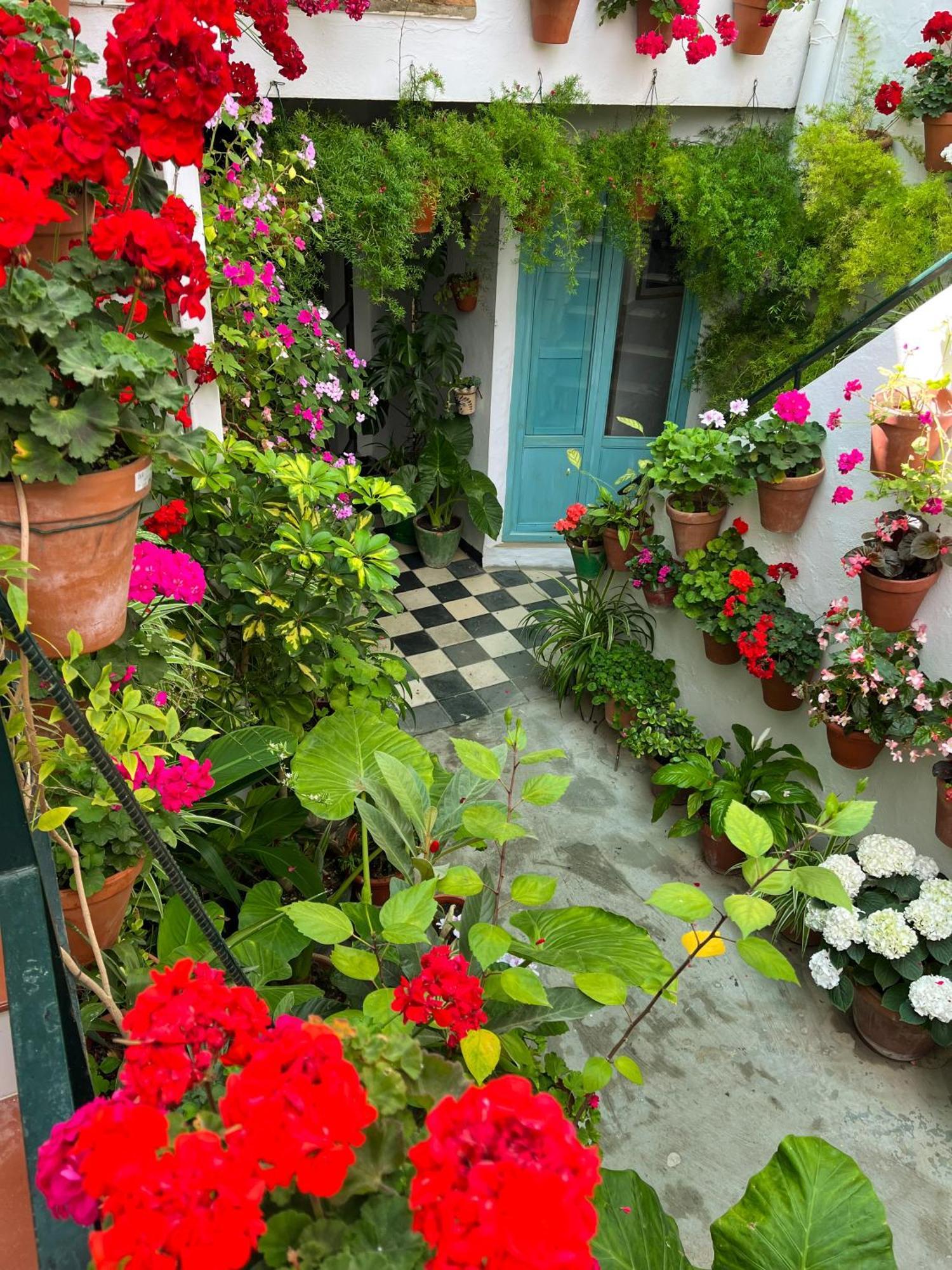 Apartamento La Muralla Vejer de la Frontera Exteriör bild