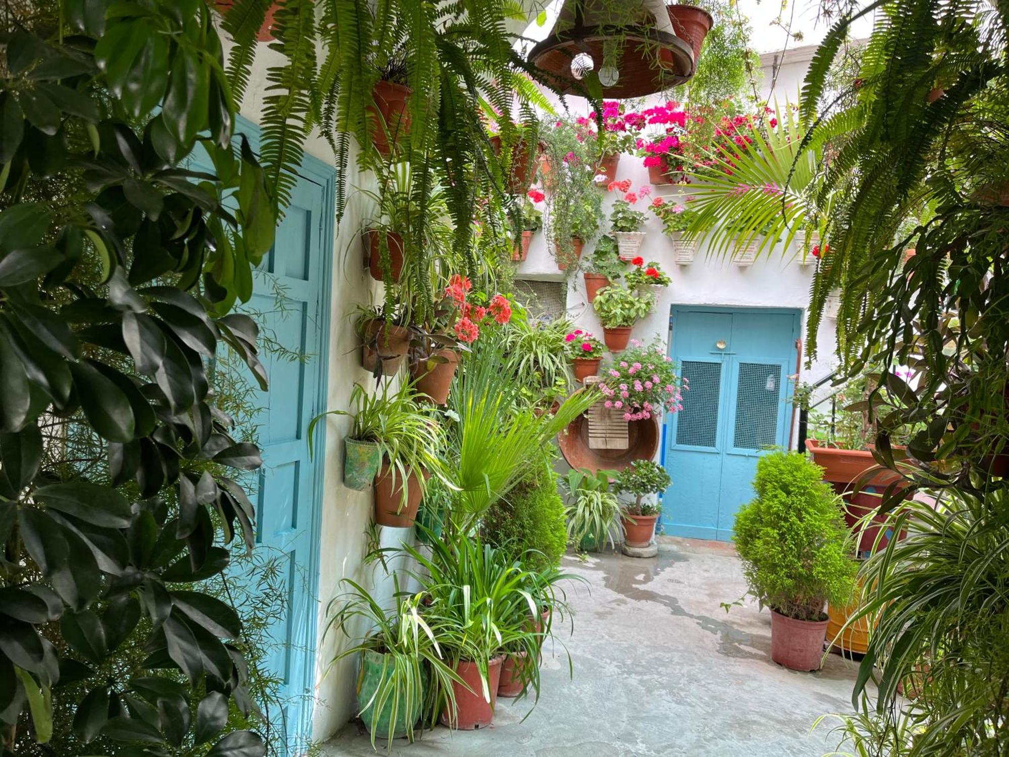 Apartamento La Muralla Vejer de la Frontera Exteriör bild